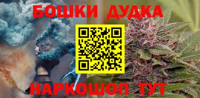 Альфа ПВП Малгобек