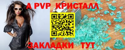 Альфа ПВП Малгобек
