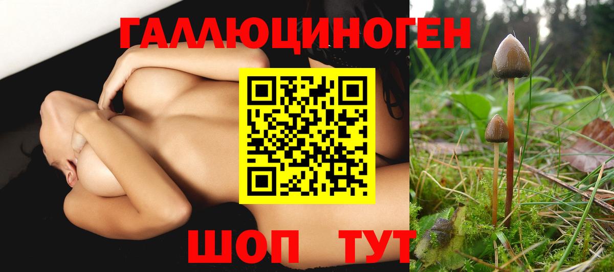 Гусь-Хрустальный  наркотики  Псилоцибиновые грибы мухоморы  Вход с VPN  Галлюциногенные грибы Psilocybine cubensis 