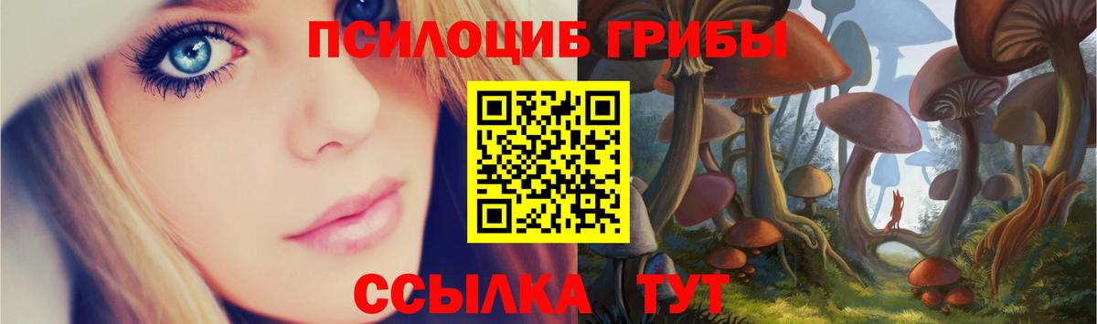 Галлюциногенные грибы мухоморы Гусь-Хрустальный